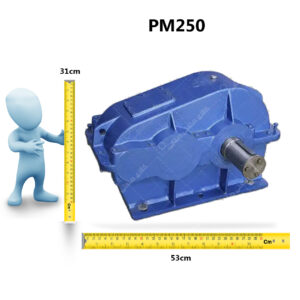 PM250